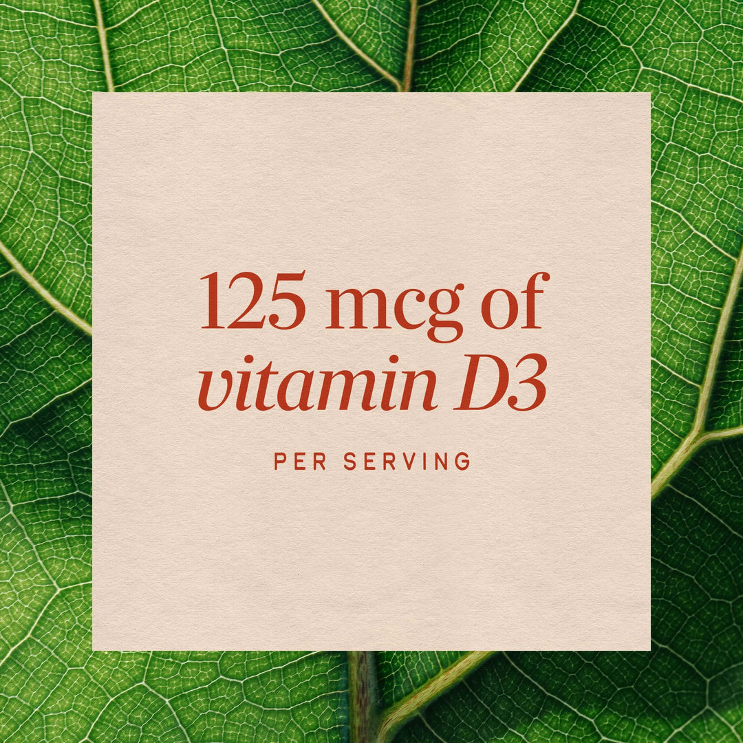 Nature's Way Vitamin D3 Max, 240 Count