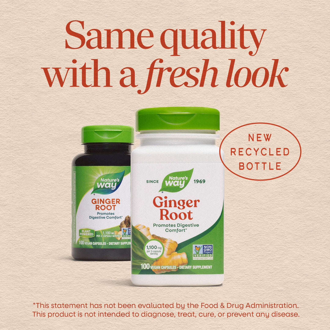 Nature's Way Ginger Root Capsules, 1110 mg, 240 Count