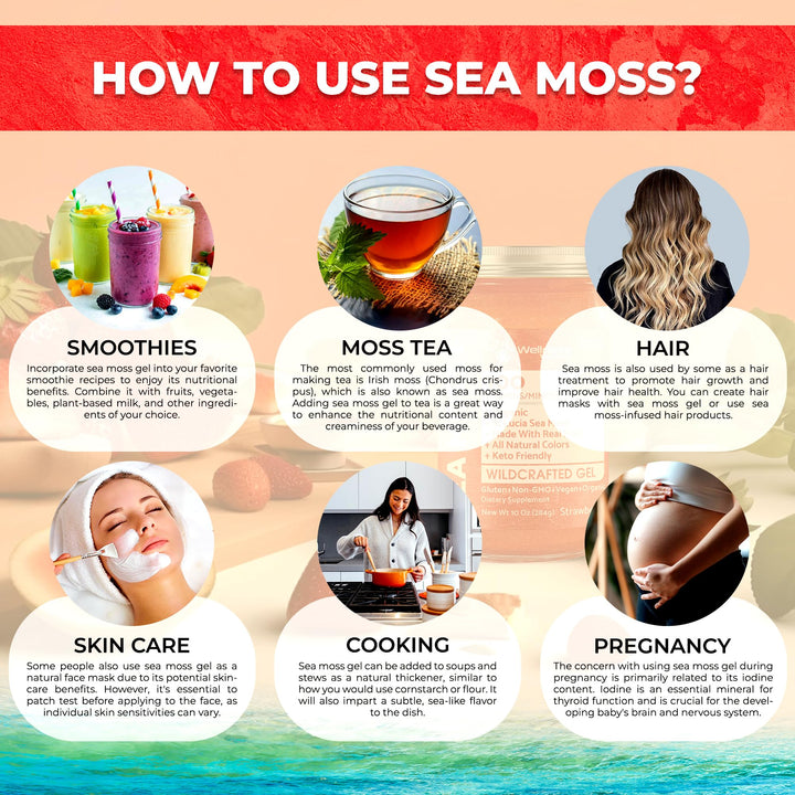 WELLNESS LABSRX Sea Moss Gel, Strawberry, 10 oz