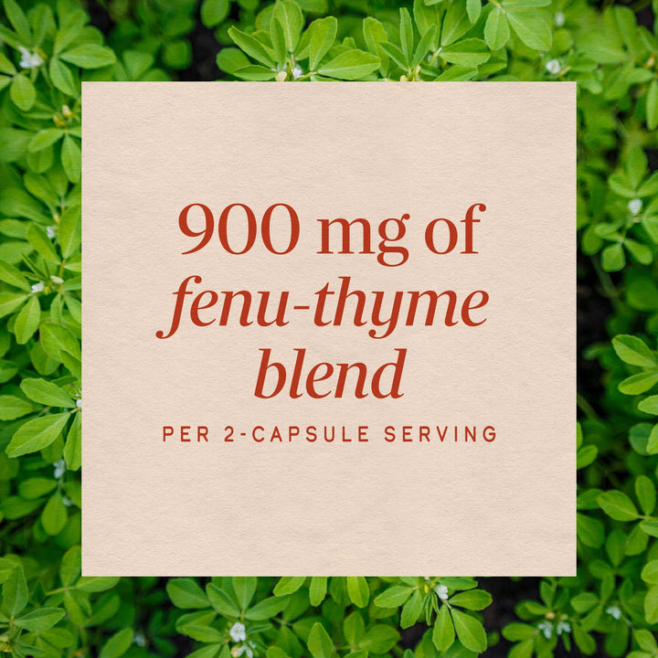 Nature's Way Fenu-Thyme, 450 mg, 100 Count
