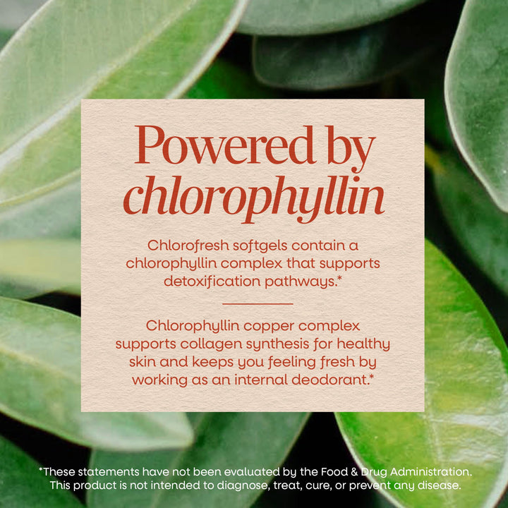 Nature's Way Chlorofresh Chlorophyll Concentrate Softgels, 90 Count