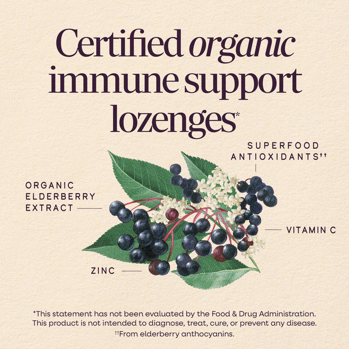 Nature's Way Sambucus Immune Lozenges, Elderberry Peppermint, 24 Count