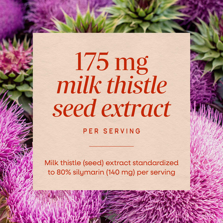 Nature's Way Milk Thistle, 60 Count