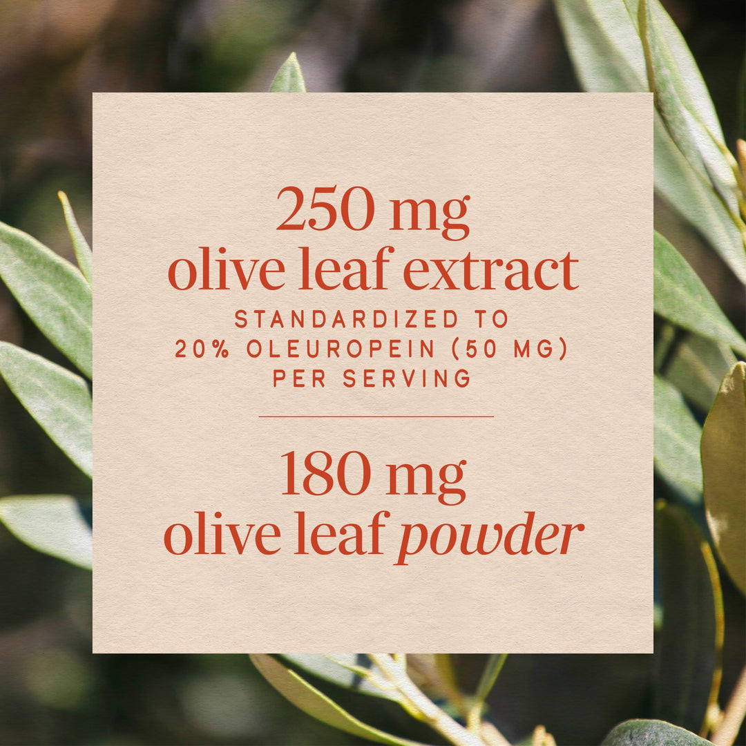 Nature's Way Olive Leaf Extract, 250 mg, 60 Count