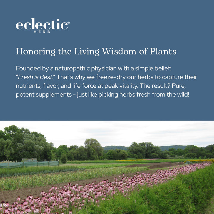 Eclectic Institute Purple Probiotic Capsules, 300 mg, 90 Count