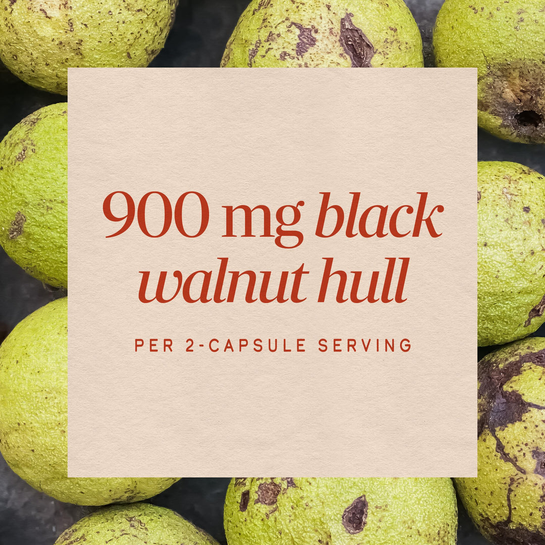 Nature's Way Black Walnut Hulls Capsules, 900 mg, 100 Count