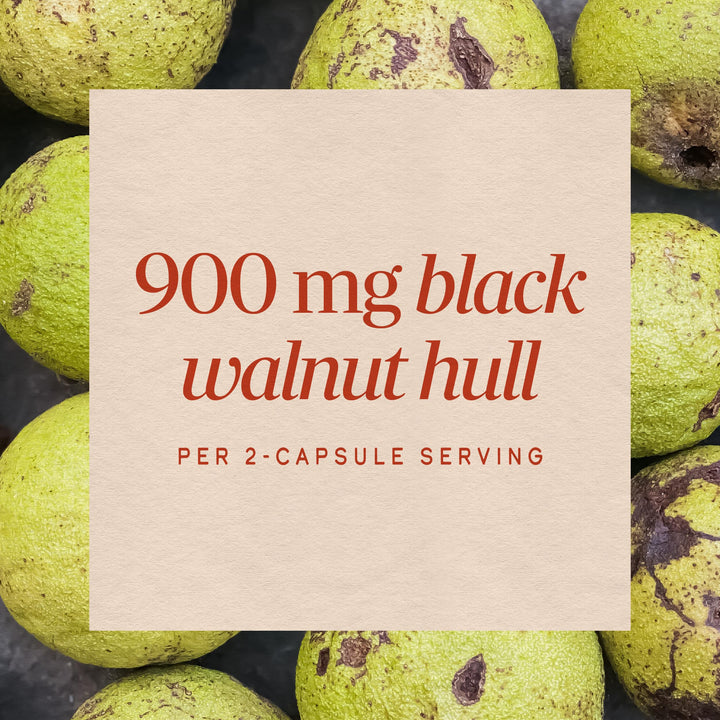 Nature's Way Black Walnut Hulls Capsules, 900 mg, 100 Count