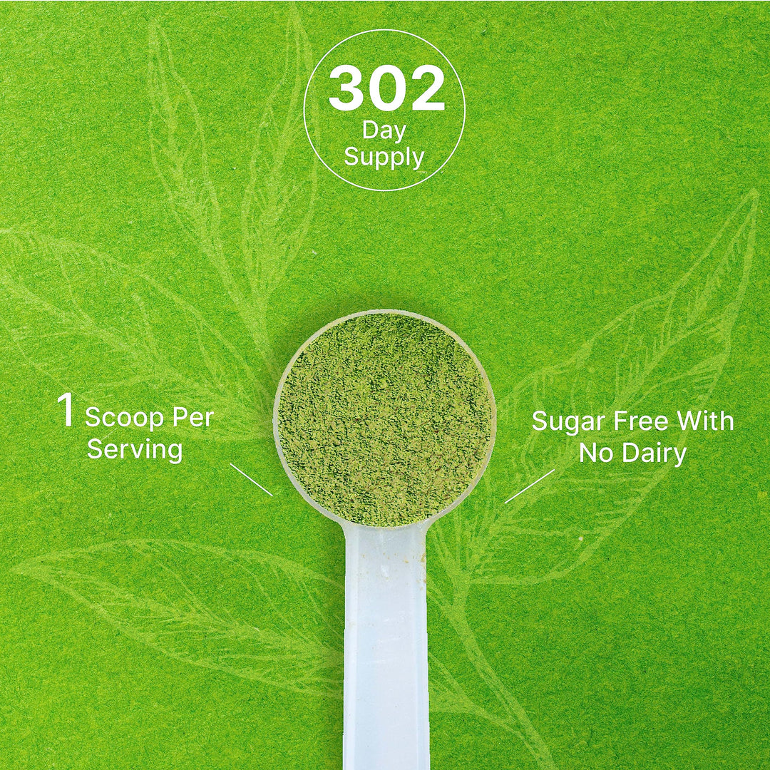 DEAL SUPPLEMENT Organic Matcha Green Tea Powder, Culinary Grade, 2 lb