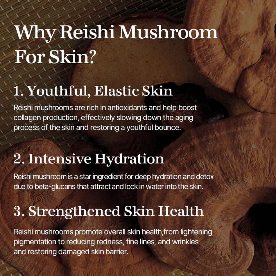 Reishi Mushroom Essence [100ml]